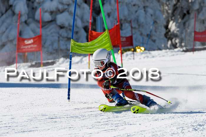 Ziener Cup WF, Finale, Quali + Parallelslalom, 24.03.2018