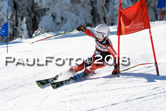 Ziener Cup WF, Finale, Quali + Parallelslalom, 24.03.2018