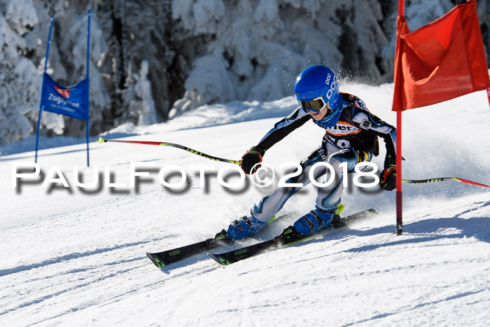 Ziener Cup WF, Finale, Quali + Parallelslalom, 24.03.2018