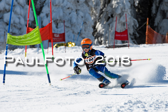 Ziener Cup WF, Finale, Quali + Parallelslalom, 24.03.2018