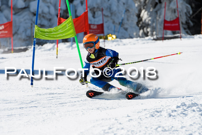 Ziener Cup WF, Finale, Quali + Parallelslalom, 24.03.2018