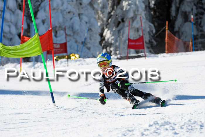 Ziener Cup WF, Finale, Quali + Parallelslalom, 24.03.2018