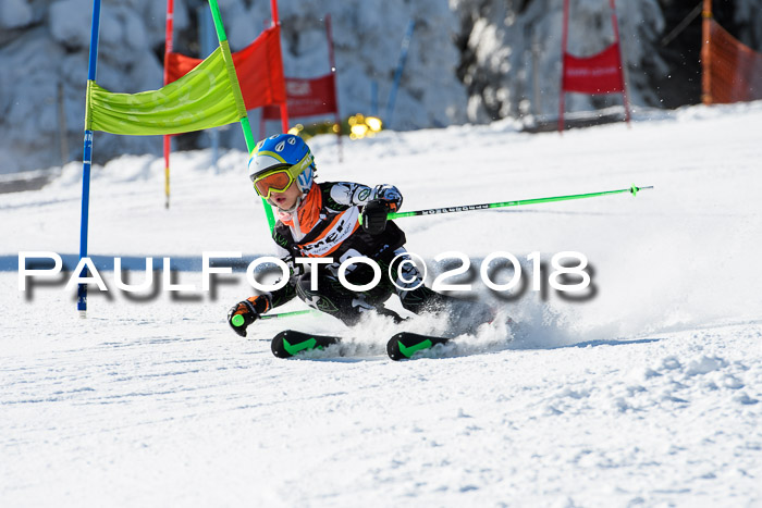 Ziener Cup WF, Finale, Quali + Parallelslalom, 24.03.2018