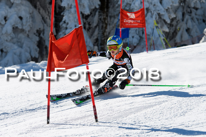 Ziener Cup WF, Finale, Quali + Parallelslalom, 24.03.2018