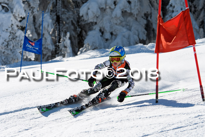 Ziener Cup WF, Finale, Quali + Parallelslalom, 24.03.2018