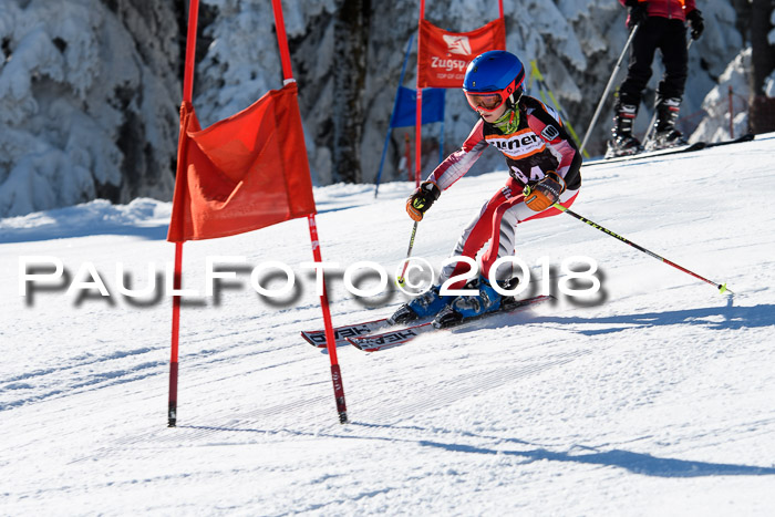 Ziener Cup WF, Finale, Quali + Parallelslalom, 24.03.2018