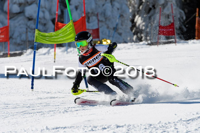 Ziener Cup WF, Finale, Quali + Parallelslalom, 24.03.2018