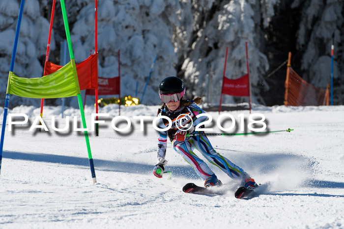 Ziener Cup WF, Finale, Quali + Parallelslalom, 24.03.2018