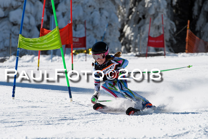 Ziener Cup WF, Finale, Quali + Parallelslalom, 24.03.2018