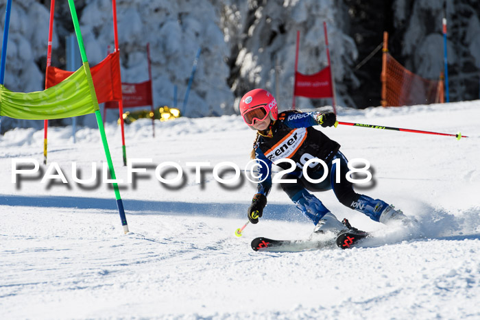 Ziener Cup WF, Finale, Quali + Parallelslalom, 24.03.2018