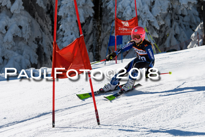 Ziener Cup WF, Finale, Quali + Parallelslalom, 24.03.2018