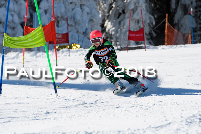 Ziener Cup WF, Finale, Quali + Parallelslalom, 24.03.2018