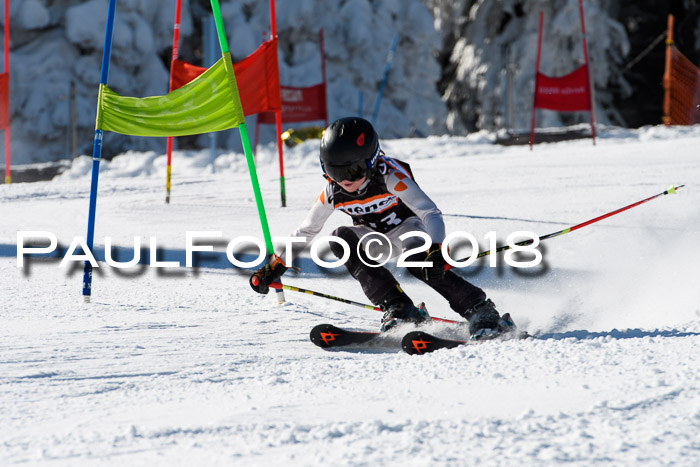 Ziener Cup WF, Finale, Quali + Parallelslalom, 24.03.2018