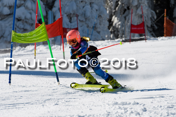 Ziener Cup WF, Finale, Quali + Parallelslalom, 24.03.2018