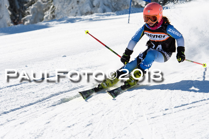 Ziener Cup WF, Finale, Quali + Parallelslalom, 24.03.2018