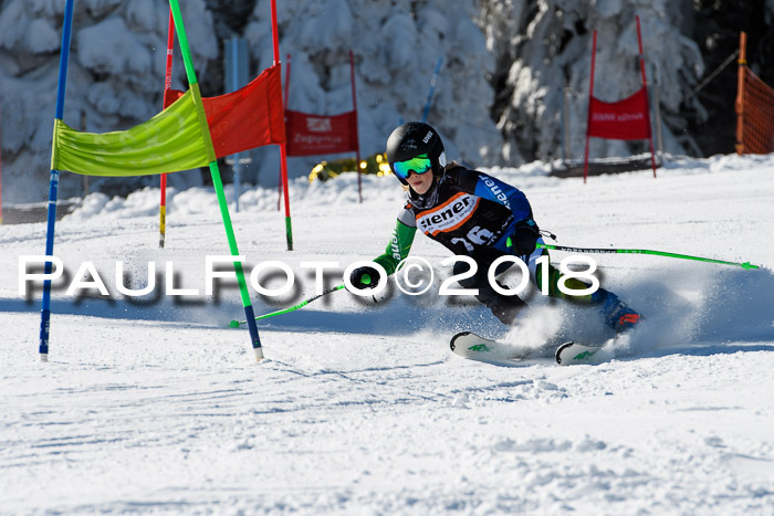 Ziener Cup WF, Finale, Quali + Parallelslalom, 24.03.2018