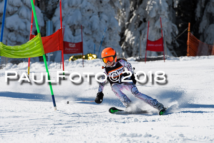 Ziener Cup WF, Finale, Quali + Parallelslalom, 24.03.2018