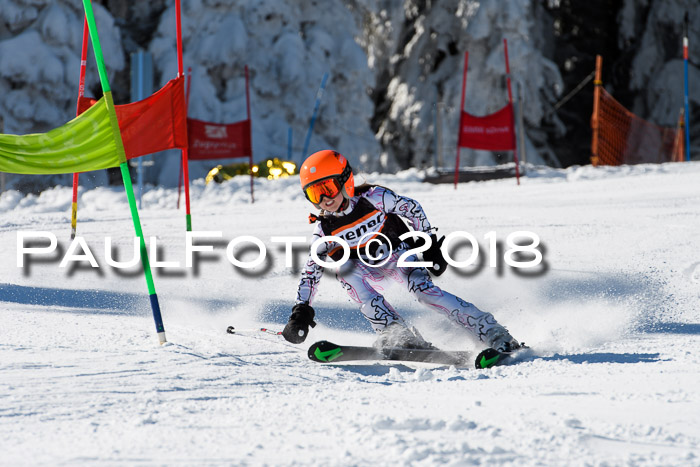 Ziener Cup WF, Finale, Quali + Parallelslalom, 24.03.2018