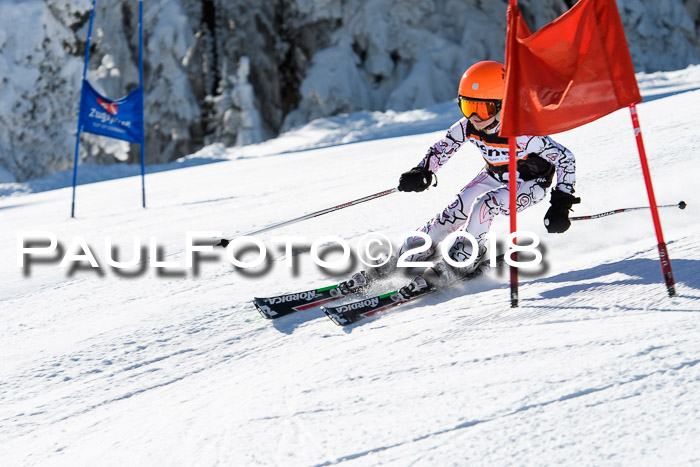 Ziener Cup WF, Finale, Quali + Parallelslalom, 24.03.2018