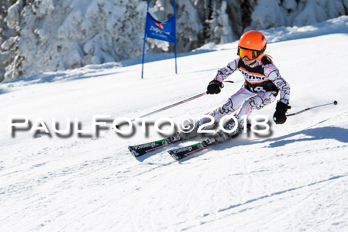 Ziener Cup WF, Finale, Quali + Parallelslalom, 24.03.2018