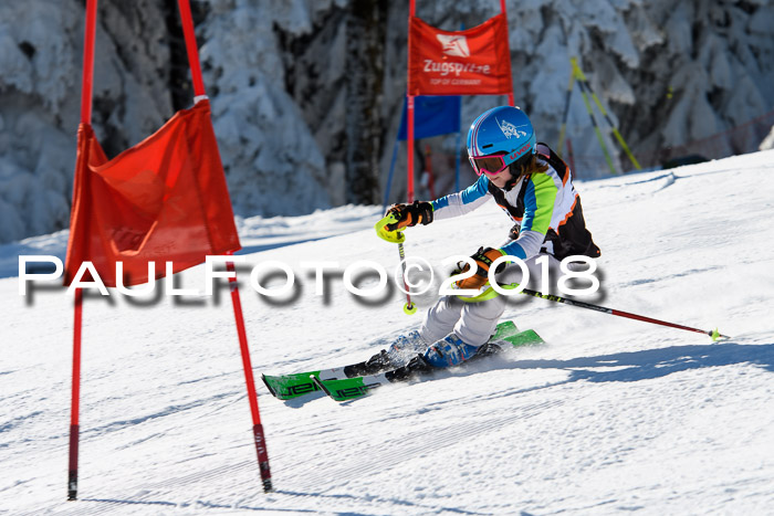 Ziener Cup WF, Finale, Quali + Parallelslalom, 24.03.2018