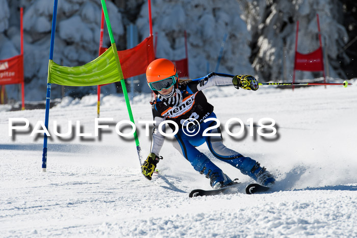 Ziener Cup WF, Finale, Quali + Parallelslalom, 24.03.2018