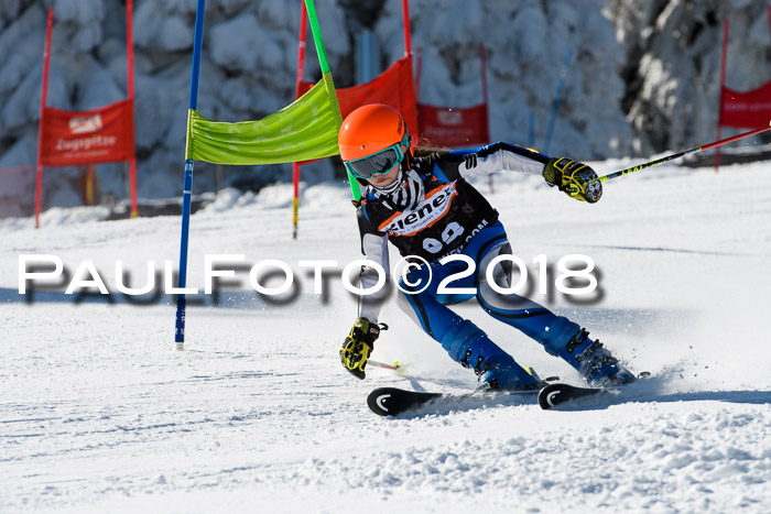 Ziener Cup WF, Finale, Quali + Parallelslalom, 24.03.2018