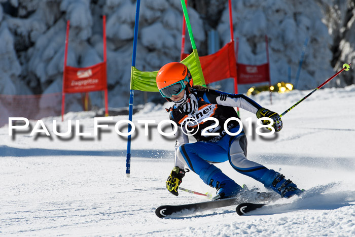 Ziener Cup WF, Finale, Quali + Parallelslalom, 24.03.2018