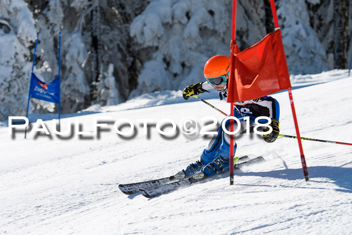 Ziener Cup WF, Finale, Quali + Parallelslalom, 24.03.2018