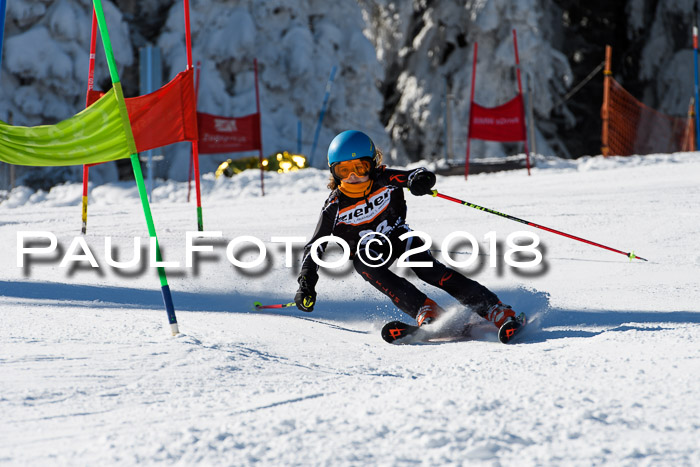 Ziener Cup WF, Finale, Quali + Parallelslalom, 24.03.2018