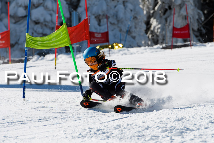 Ziener Cup WF, Finale, Quali + Parallelslalom, 24.03.2018