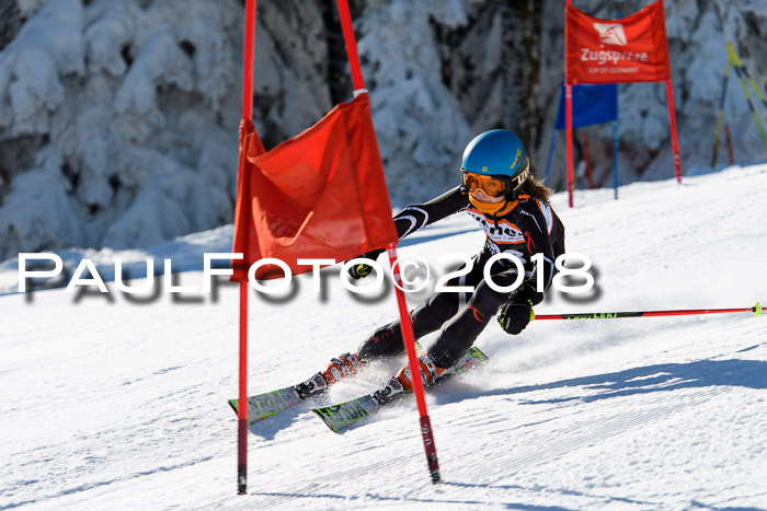 Ziener Cup WF, Finale, Quali + Parallelslalom, 24.03.2018