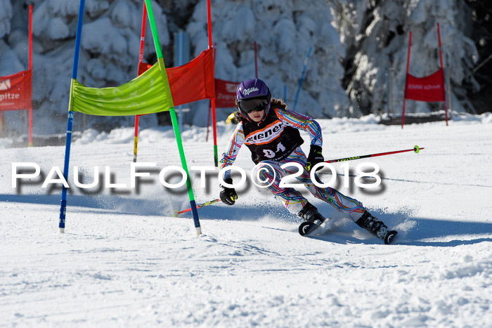 Ziener Cup WF, Finale, Quali + Parallelslalom, 24.03.2018