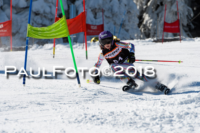 Ziener Cup WF, Finale, Quali + Parallelslalom, 24.03.2018