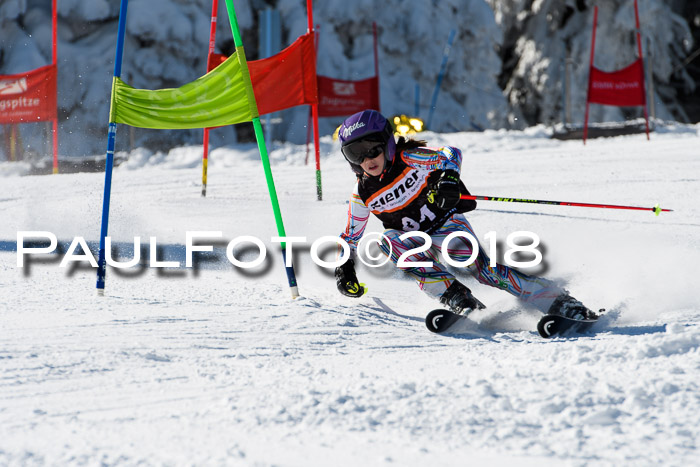 Ziener Cup WF, Finale, Quali + Parallelslalom, 24.03.2018