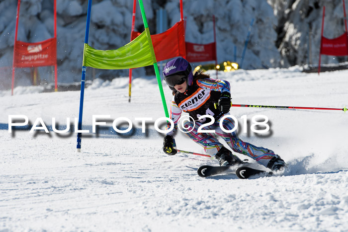 Ziener Cup WF, Finale, Quali + Parallelslalom, 24.03.2018