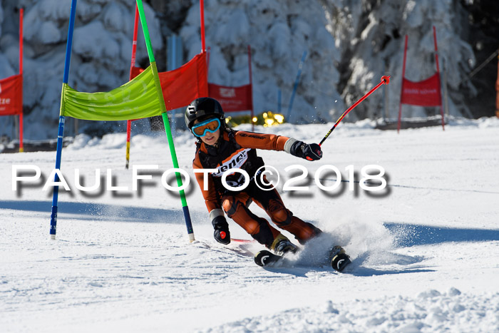 Ziener Cup WF, Finale, Quali + Parallelslalom, 24.03.2018