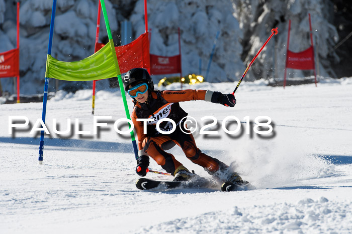 Ziener Cup WF, Finale, Quali + Parallelslalom, 24.03.2018