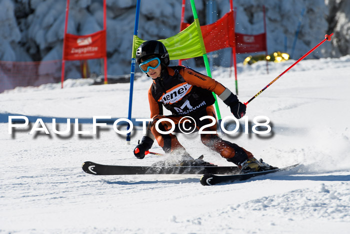 Ziener Cup WF, Finale, Quali + Parallelslalom, 24.03.2018