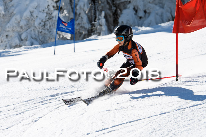 Ziener Cup WF, Finale, Quali + Parallelslalom, 24.03.2018