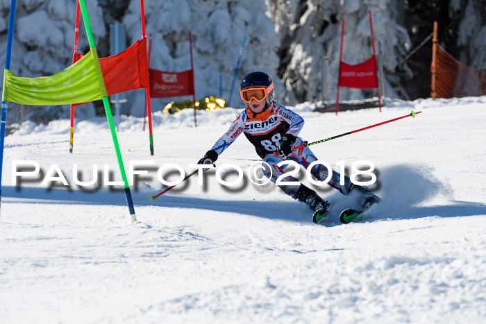 Ziener Cup WF, Finale, Quali + Parallelslalom, 24.03.2018