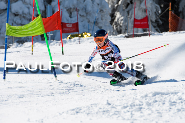 Ziener Cup WF, Finale, Quali + Parallelslalom, 24.03.2018