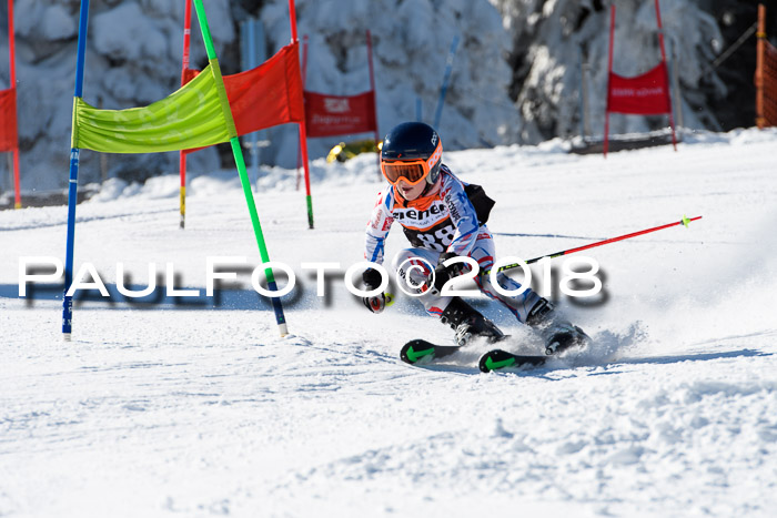 Ziener Cup WF, Finale, Quali + Parallelslalom, 24.03.2018