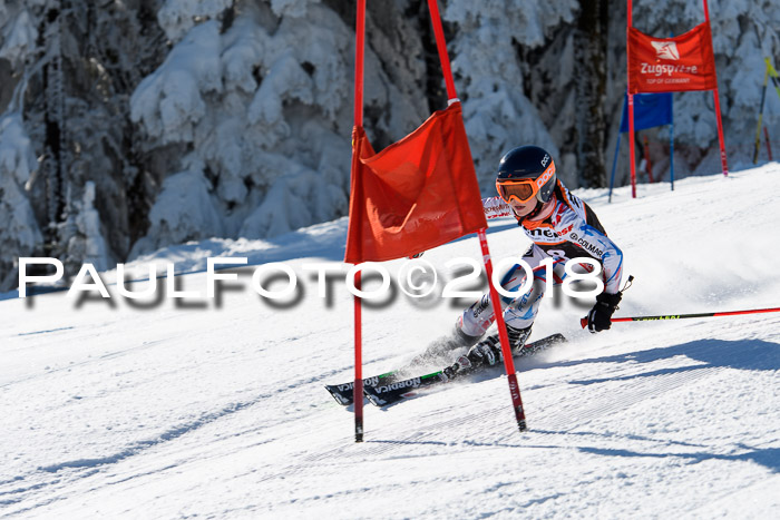 Ziener Cup WF, Finale, Quali + Parallelslalom, 24.03.2018