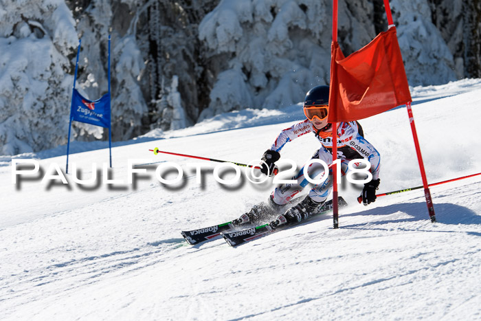 Ziener Cup WF, Finale, Quali + Parallelslalom, 24.03.2018