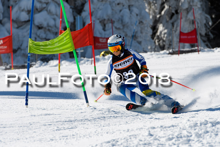 Ziener Cup WF, Finale, Quali + Parallelslalom, 24.03.2018