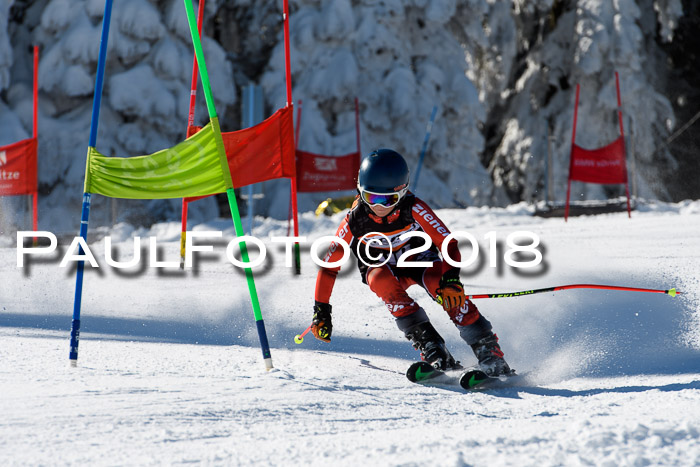 Ziener Cup WF, Finale, Quali + Parallelslalom, 24.03.2018