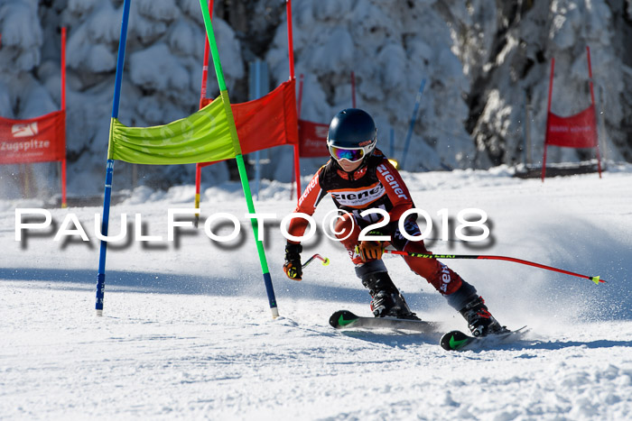 Ziener Cup WF, Finale, Quali + Parallelslalom, 24.03.2018