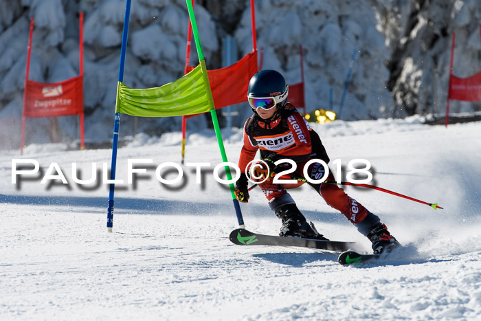 Ziener Cup WF, Finale, Quali + Parallelslalom, 24.03.2018