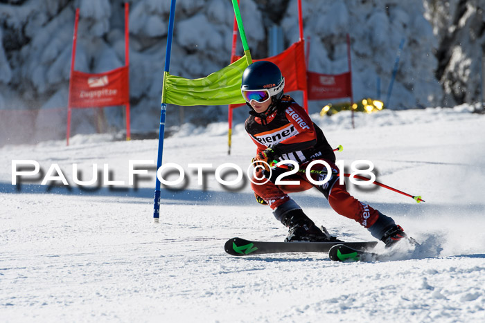 Ziener Cup WF, Finale, Quali + Parallelslalom, 24.03.2018